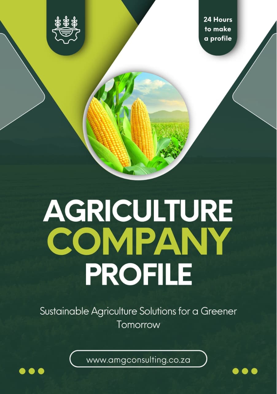 Professional company profile document 2